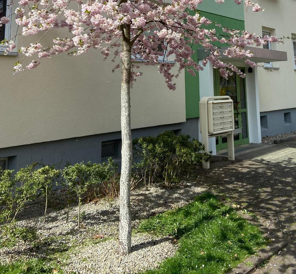 Schoene Kleine Wohnung Cottbus Eksteriør billede